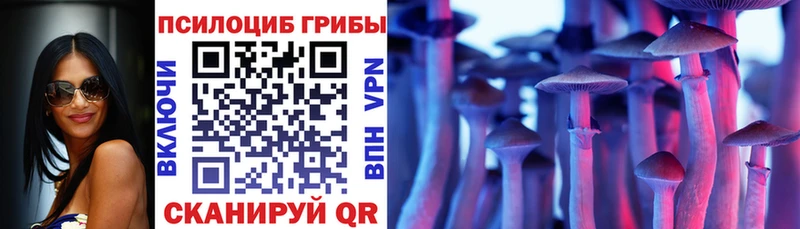 Псилоцибиновые грибы GOLDEN TEACHER  Мураши 